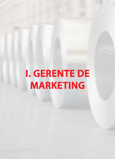 I. Gerente de Marketing